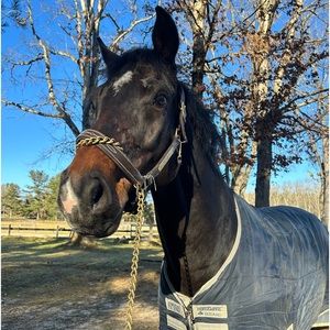 Meet your Posher, Finley